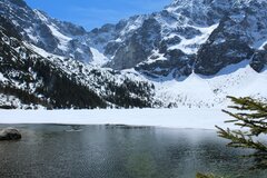 IMG_0319.jpg