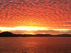 1BC66E1A-2C0E-4EBB-BA02-374B4CFCC5A2.jpeg