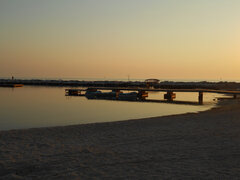 DSCN0806.JPG