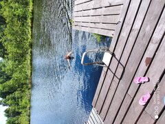 IMG_20200712_141541.jpg