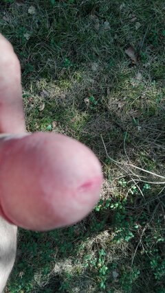 IMG_20210521_153854.jpg