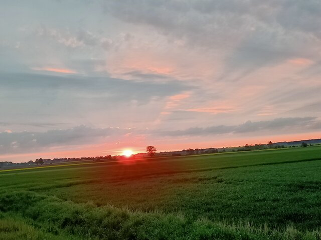 blackhorseszcz