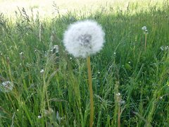 20210522_164955.jpg