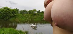 Łabędzie na Czarnej Przemszy ;) 