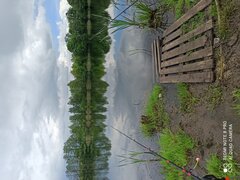 IMG_20210523_143738.jpg
