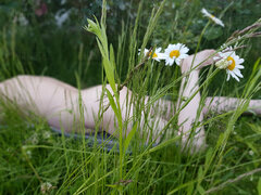 20200603_200849.jpg