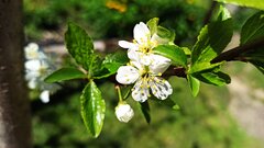 IMG_20210509_134626.jpg