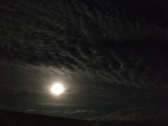IMG_20210527_002336820.jpg