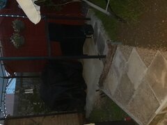 20210527_213016.jpg