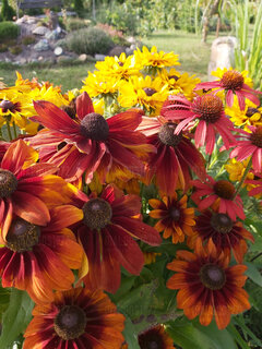 20200726_181216.jpg