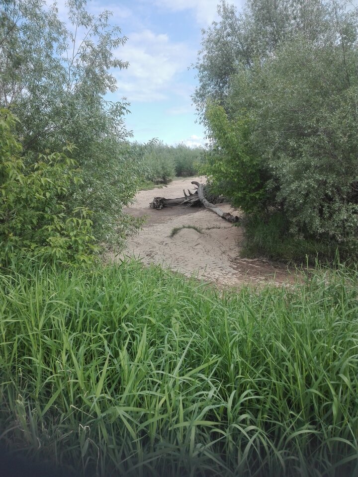2021-05-2816.37.451375191963.jpg - Cezary120