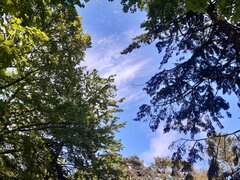20210528_161652.jpg