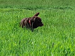 20210519_132936.jpg