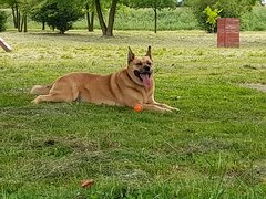 20210528_133145.jpg