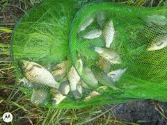 IMG_20210530_173500185.jpg