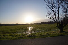 DSC09145.JPG