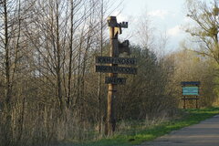 DSC09142.JPG