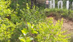 IMG_20210602_231406.jpg