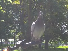 IMG_20210603_114338.jpg