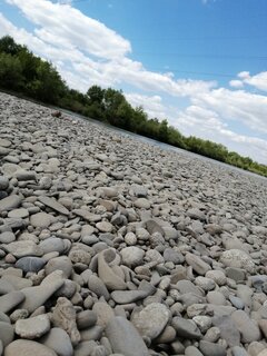 IMG_20210603_131331.jpg