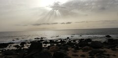IMG_20210601_175025.jpg