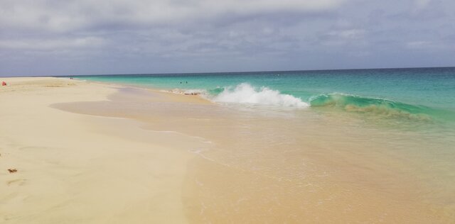 singiel39