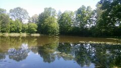 IMG-20210603-WA0003.jpg