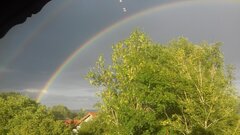 20180814_185831.jpg