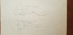 20210604_131704.jpg