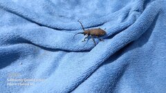 20210606_144130.jpg