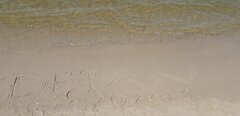 20210606_150725.jpg