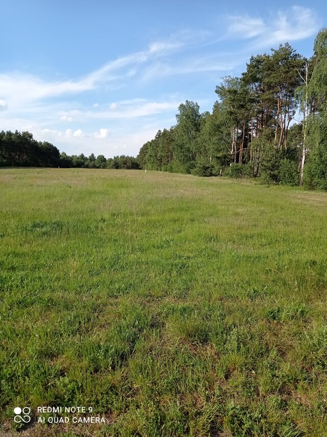 Tajemniczypa