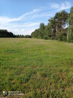 IMG_20210606_175023.jpg