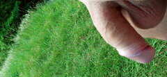 20210606_181031.jpg