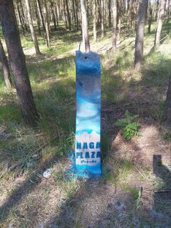 IMG_20210606_091400.jpg