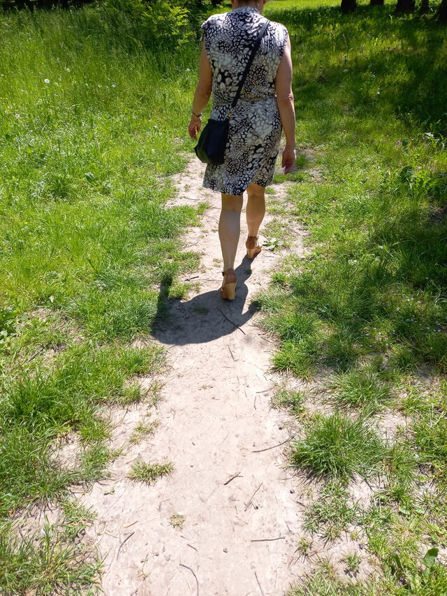 StareKrakusy