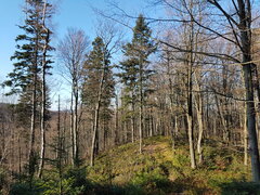 20191124_123523.jpg