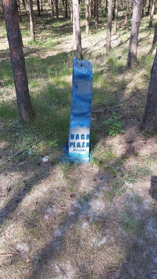 maniek34