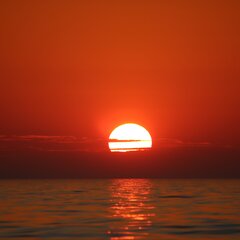 IMG_20210608_084417_946.jpg
