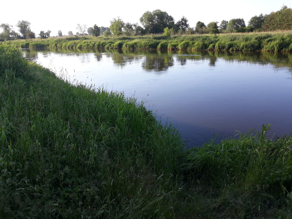 Gdzieś na Wartą 😊 - kajkah