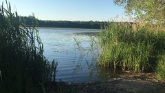 0C9F144A-869A-4D2C-A618-6C9933AB7A8C.jpeg