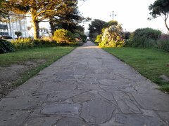 20210609_200646.jpg