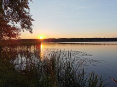 IMG_20210610_202849.jpg