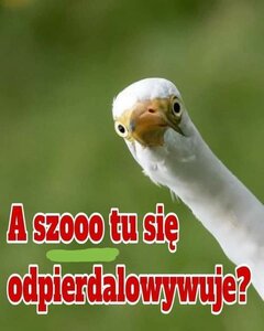 FB_IMG_1623416450171.jpg
