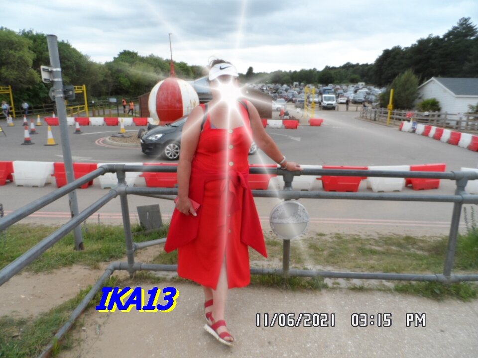 SAM_3503.JPG - ika13