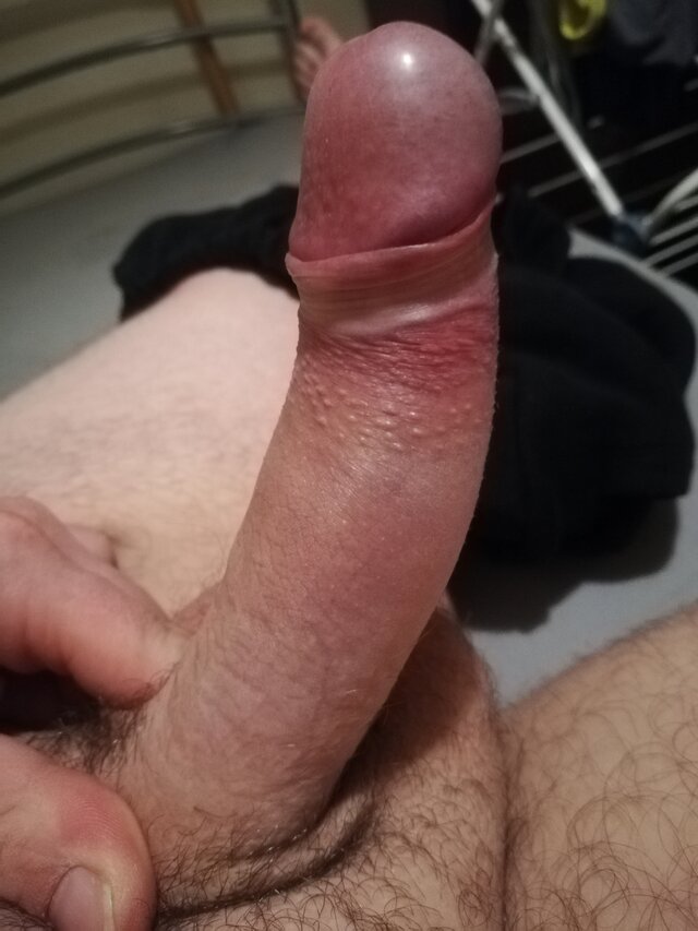 htclgasus13