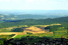 DSC_5915.JPG