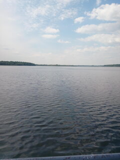IMG_20210601_124304.jpg