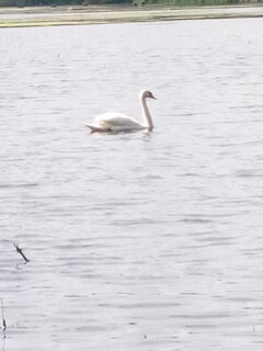 IMG_20210528_150525.jpg
