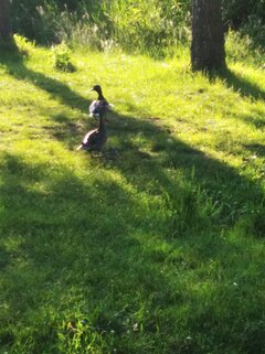 IMG_20210613_191247.jpg